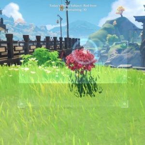 Comment avoir une photo rouge dans Genshin Impact