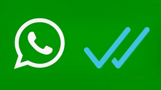 Comment désactiver le statut “Vu” sur WhatsApp