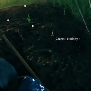 Planter des graines avec le cultivateur dans Valheim