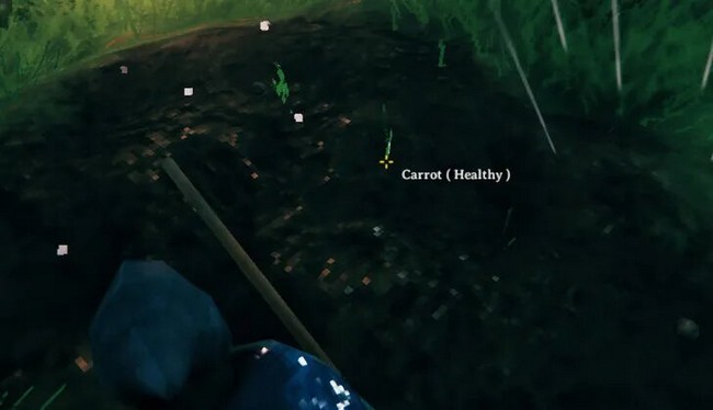 Planter des graines avec le cultivateur dans Valheim