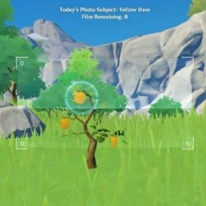 L'objet jaune "baies" pour l'événement « Les couleurs de la fortune »