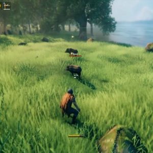 Les sangliers de Valheim vous suivront après avoir été nourris aux champignons