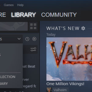 Vous pouvez également télécharger le serveur dédié Valheim via votre bibliothèque Steam