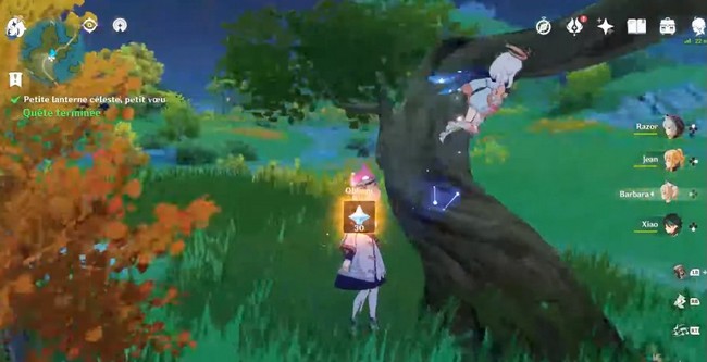 accomplir Petite lanterne céleste, petit vœu genshin impact