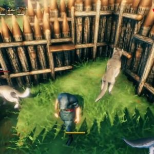 dompter un loup à valheim