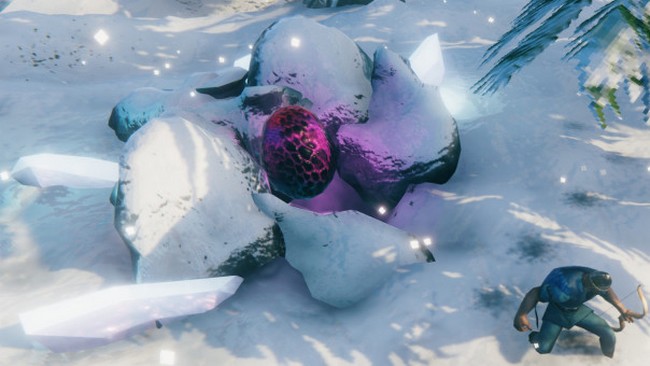 Œuf de dragon Valheim