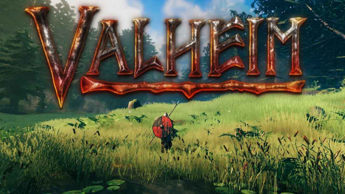 valheim guide