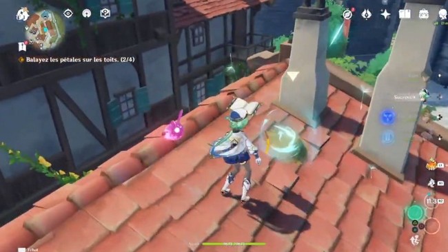 Balayez les pétales sur les toits