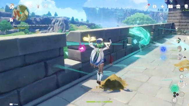 Balayez les pétales sur les toits