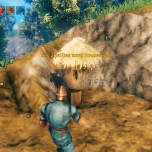 Comment obtenir du miel