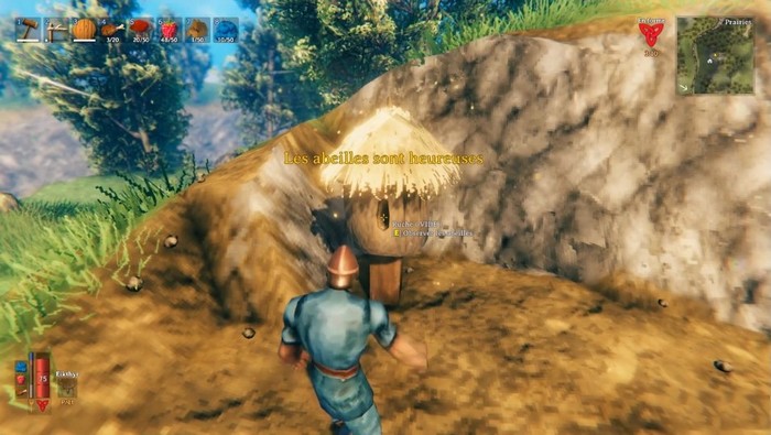 Comment obtenir du miel