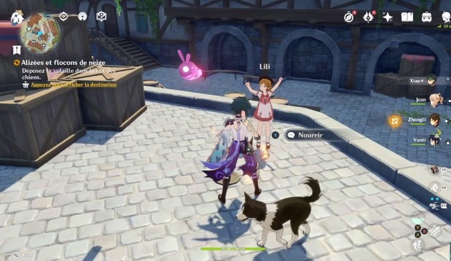 Déposez la volaille dans le bol des chiens