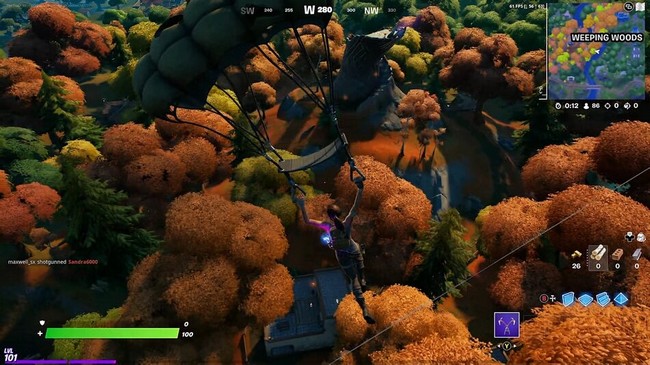 ENQUÊTE SUR L'ANOMALIE DÉTECTÉE A WEEPING WOODS-1