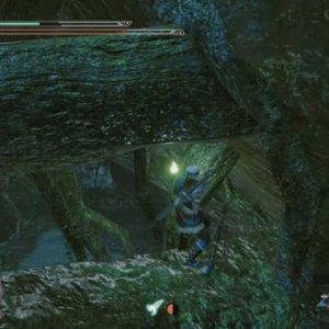 Messages Anciens de la Forêt Inondée-2