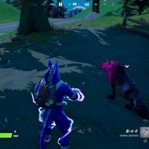 Nourrissez-les pour les prendre