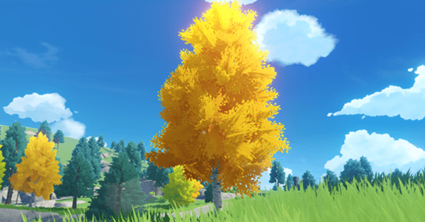 Voici à quoi ressemble l'Arbre de bouleau dans genshin impact