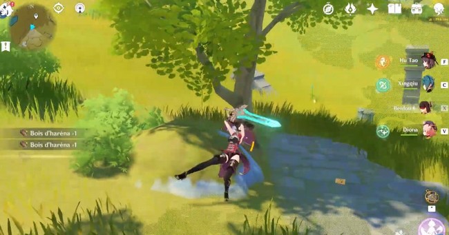 Bois d'haréna dans genshin impact