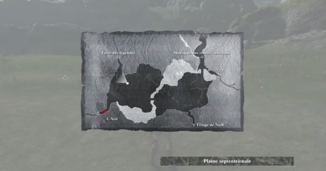 Emplacement sanglier- Nier Replicant