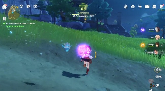 La vérité réside dans la pierre dans Genshin Impact