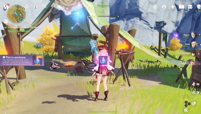 Pierre ancienne-genshin impact