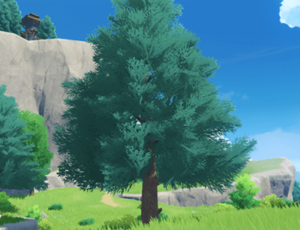 arbre pour avoir du bois d’épicéa