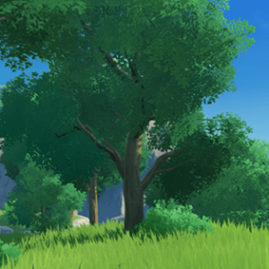 Voici à quoi ressemble des cèdres dans genshin impact