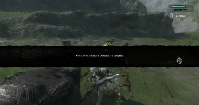 la défense de sanglier