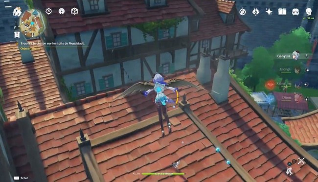 Chats imprévisibles