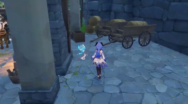 Chats imprévisibles-8