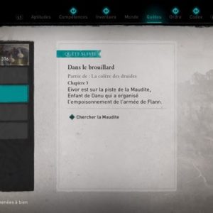 Dans le brouillard Assassin’s Creed Valhalla La Colère Des Druides