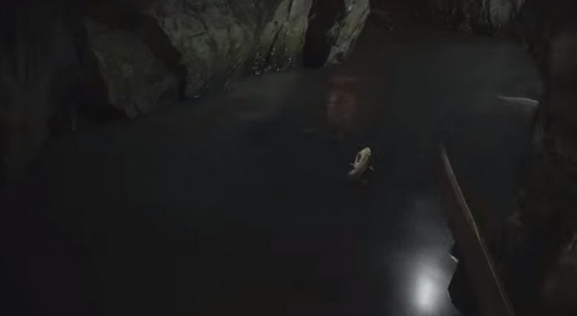 Emplacement poissons Resident Evil 8 Village