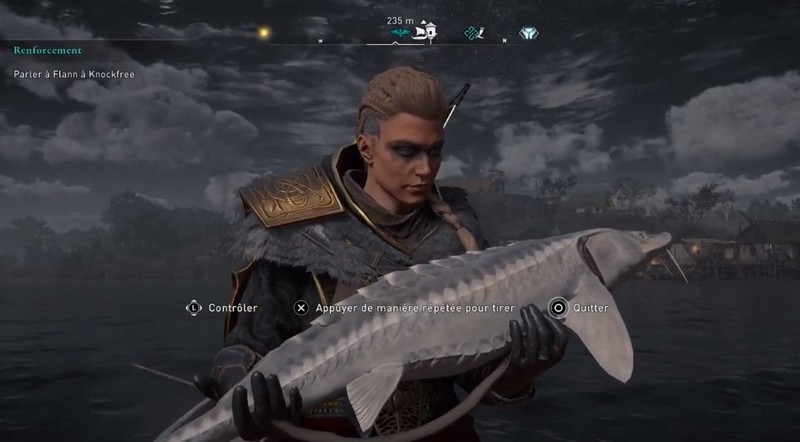 Emplacements Grand Esturgeon En Irlande