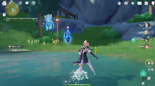 Fragement de fruit fracturé 1