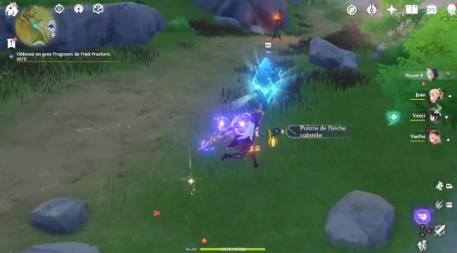 Fragement de fruit fracturé 2