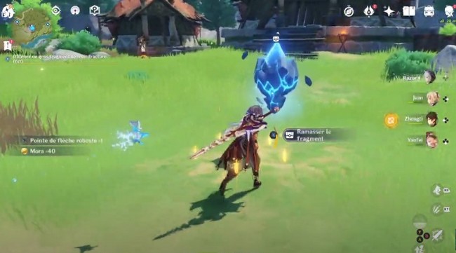 Fragement de fruit fracturé 3