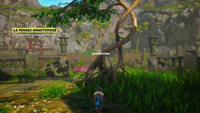 Le pensai anastomosé