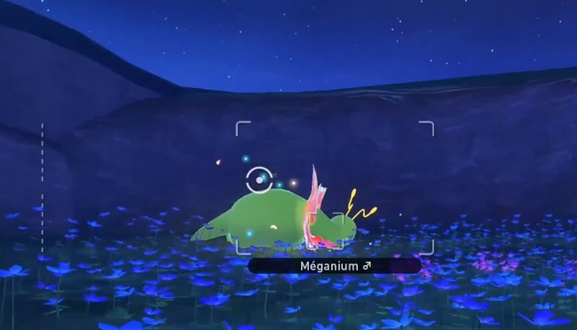 Méganium-new pokemon snap