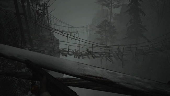 emplacement chèvre en bois 10