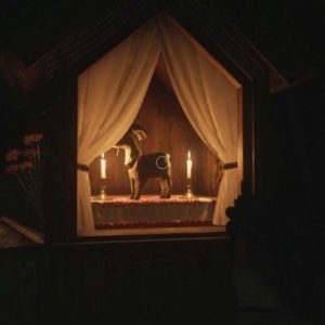 emplacement chèvre en bois 15