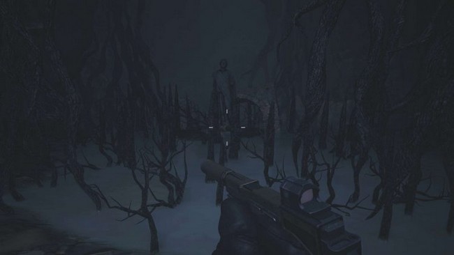 emplacement chèvre en bois 20