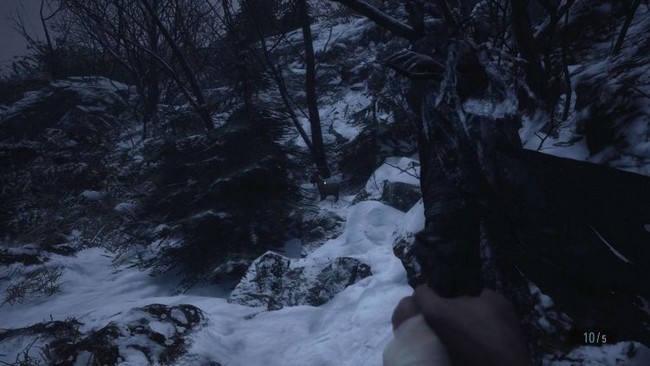 emplacement chèvre en bois 4