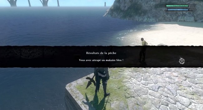 attraper un Makaire bleu Nier Replicant