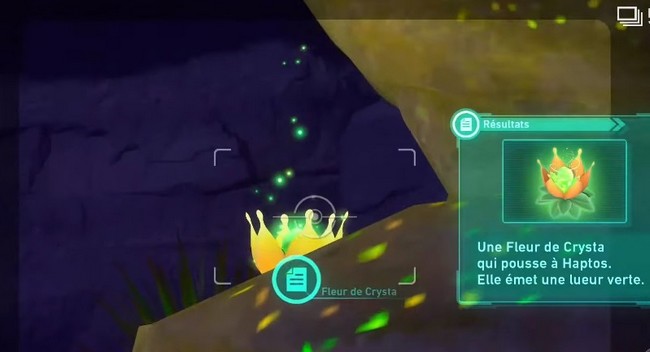 fleur de Crysta-Désert Sabrûlant