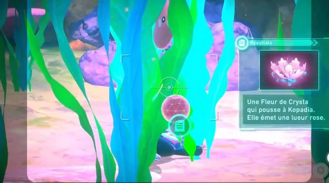 leur de Crysta-Fonds Marins de Lentis