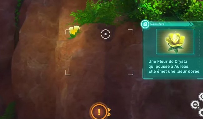 fleur de Crysta-Ruines du Protecteur