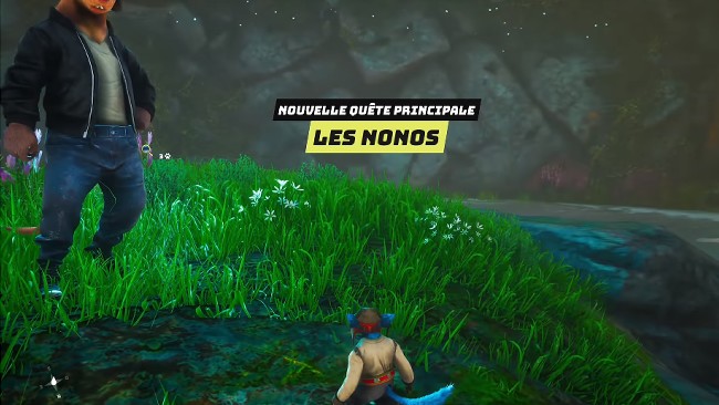 les nonos