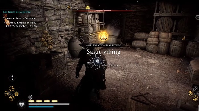 salut viking aptitude