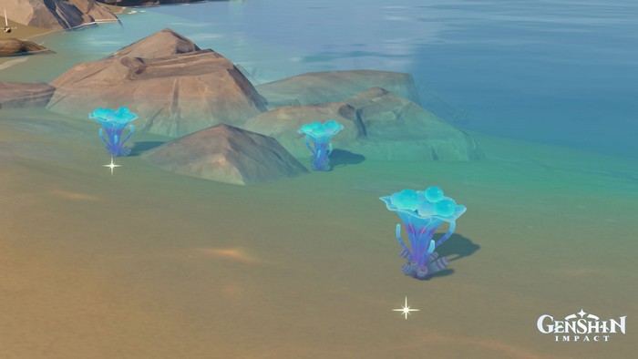 Où trouver Ganoderma marin à Genshin Impact