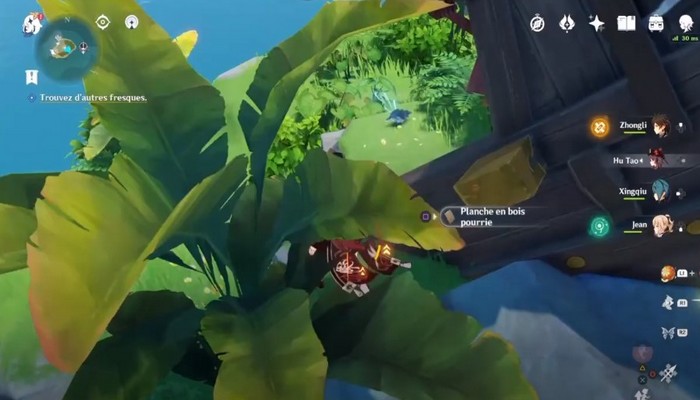 emplacement la planche en bois pourrie