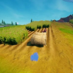 Emplacement d'une provision de survie 2